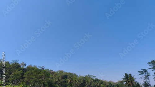 Foto Wide angle view of dense green jungle horizon beneath expansive cloudless blue s