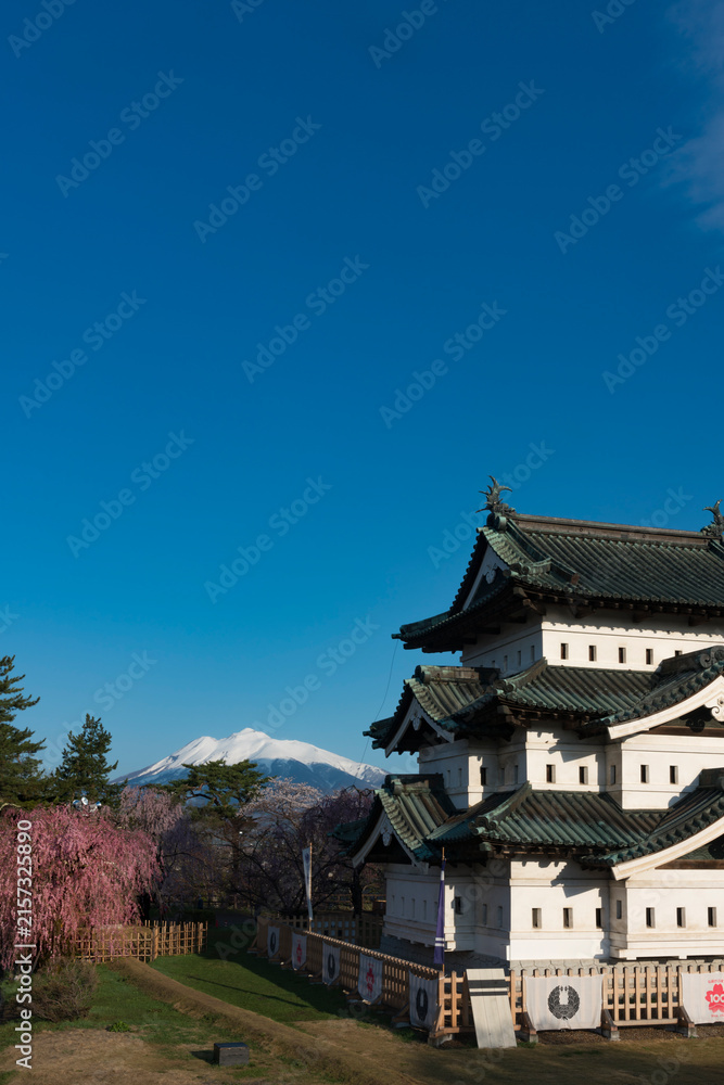 Fototapeta premium 満開の桜と弘前城天守閣と残雪の岩木山