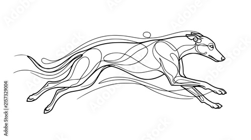 Elegant Line Art Greyhound Running Silhouette, Isolated