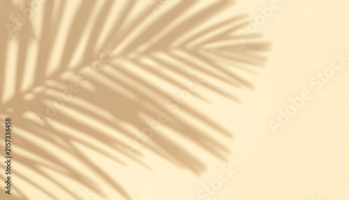 Abstract background with palm leaf shadow and sunlight on beige surface.