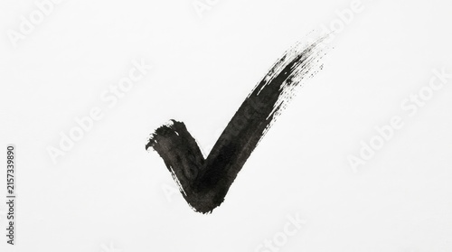 Bold black ink check mark painted with artistic brush strokes on a clean white paper background