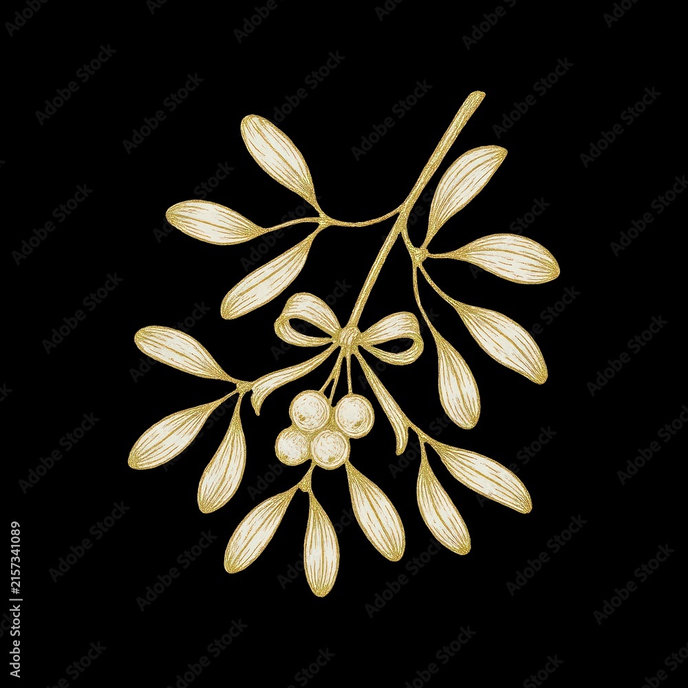 Fototapeta premium Elegant golden mistletoe illustration.