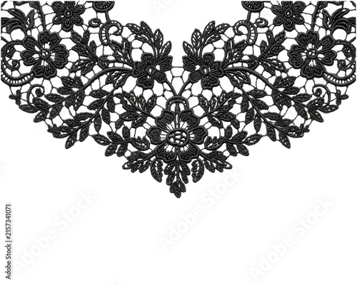 Elegant Black Lace Collar with Floral Embroidery