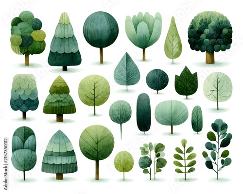 Collection of stylized green trees and plants in watercolor style