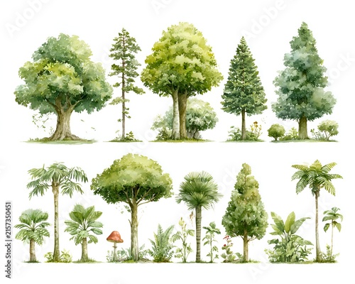 Watercolor collection of diverse trees and plants with a mushroom and flowers