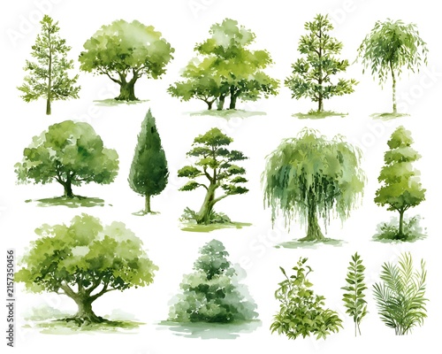 Watercolor illustration of various green trees and plants