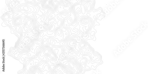Cuadro en lienzo Minimal area topography spiral line white background