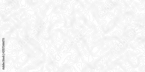 Minimal area topography spiral line white background. landscape black line wireframe location diagram world map texture design.	

