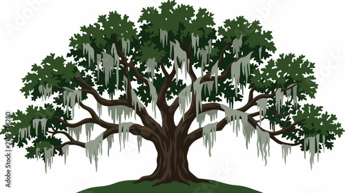 Majestic Southern Live Oak Tree Illustration with Hanging Spanish Moss and Wide Canopy for Nature Design