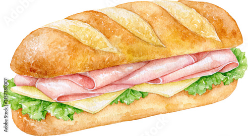 Watercolor classic french baguette sandwich with ham cheese and lettuce isolated on transparent background.
