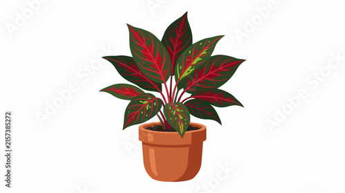 Beautiful Potted Aglaonema Houseplant Illustration with Vibrant Red and Green Leaves in a Clay Terracotta Pot