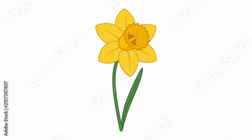 Beautiful Yellow Narcissus Flower Illustration Isolated on White Background for Spring Season Design Projects