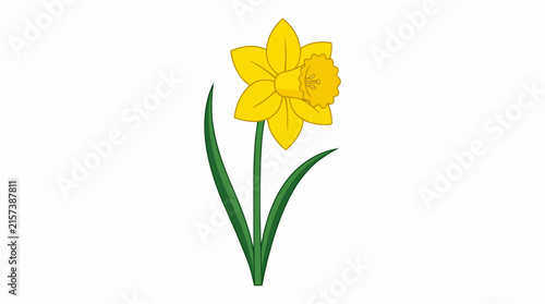 Vibrant Yellow Narcissus Flower Illustration with Long Green Leaves Isolated on White for Spring Gardening Themes