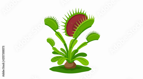 Exotic Carnivorous Venus Flytrap Plant with Open Spiky Traps Isolated on White Background for Botanical Art