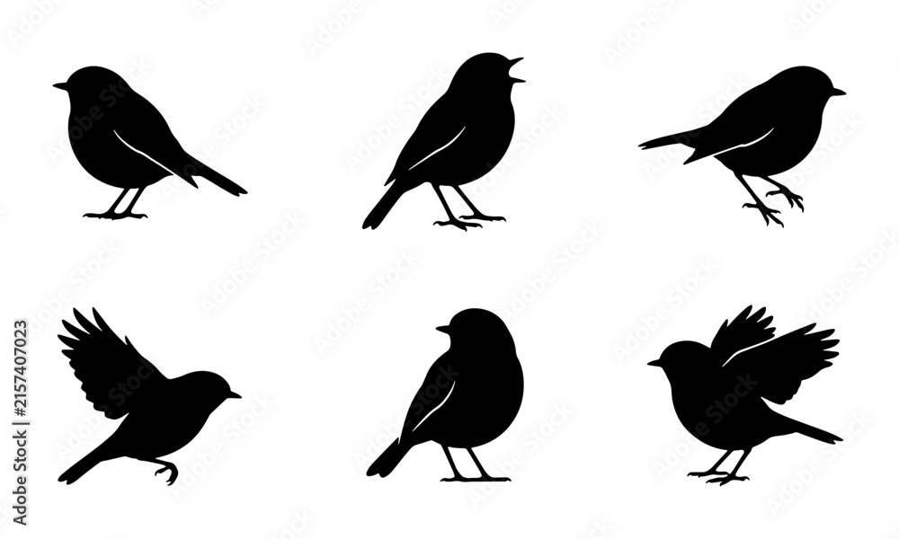 Fototapeta premium Set of Six Black Bird Silhouettes, Vector Icons, Nature Wildlife Collection