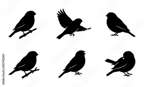 Bird Silhouettes Vector Set: Perching, Flying, and Posing Small Songbirds Collection