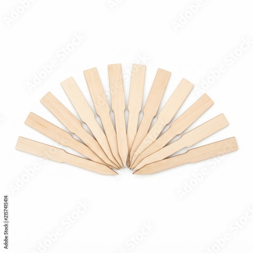 Set of wooden plant name tags with blank labels