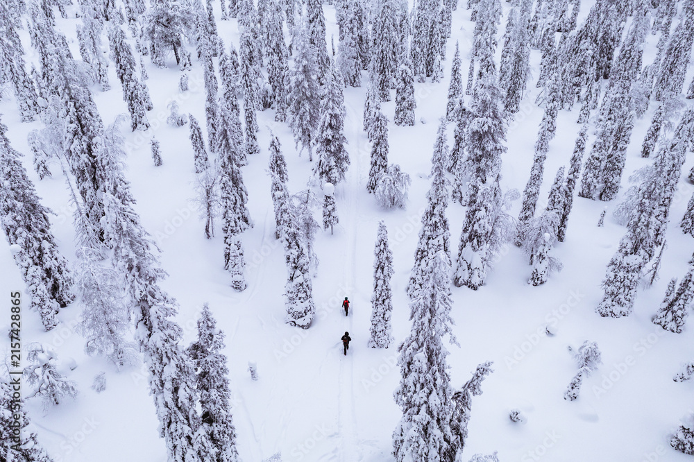 Fototapeta premium Aerial view of two people skiing through a snowy forest landscape.