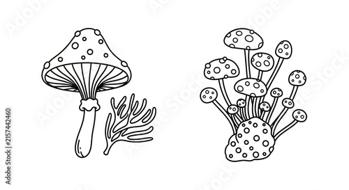 фотографія Mushrooms and fungi in illustration style.