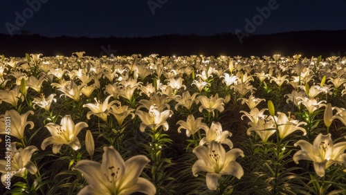 Illuminated Lilies in a Nighttime Floral Landscape Display