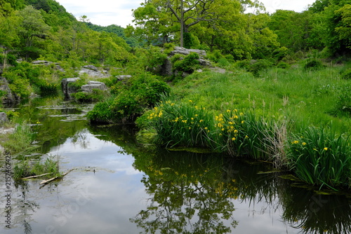埼玉県立長瀞玉淀自然公園