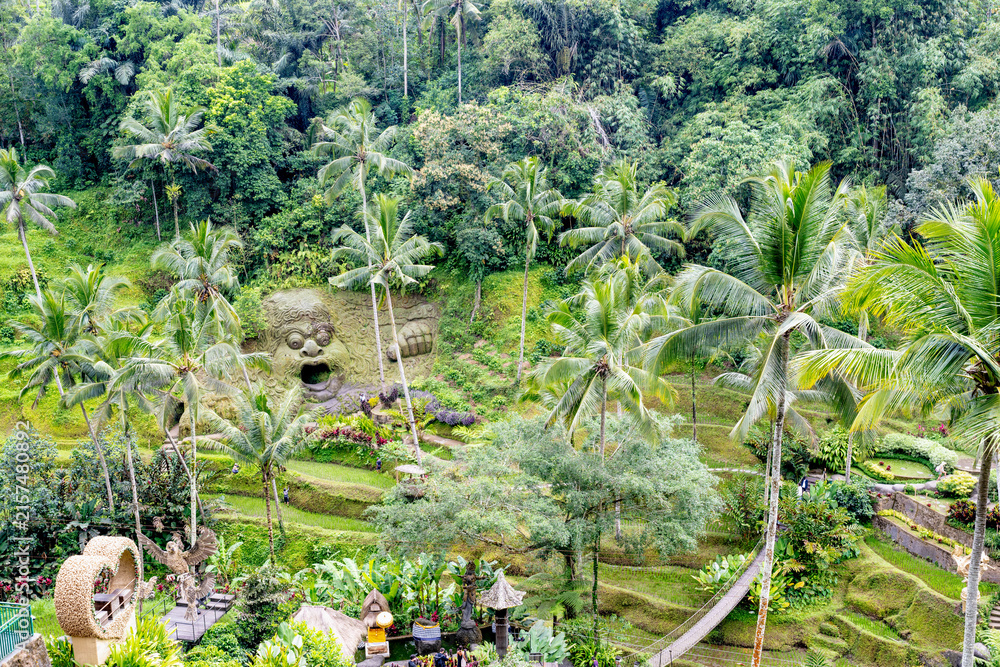 Obraz premium BALI, INDONESIA – OCTOBER 20, 2024: Panoramic high angle view of Tegallalang Rice Terraces at Alas Harum Bali.