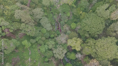 Aerial View of Lush Green Forest with Flowing Stream and Waterfalls in a Serene Landscape