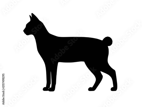 Canvas Print Japanese Bobtail cat silhouette vector icon, slim feline breed with short pom po