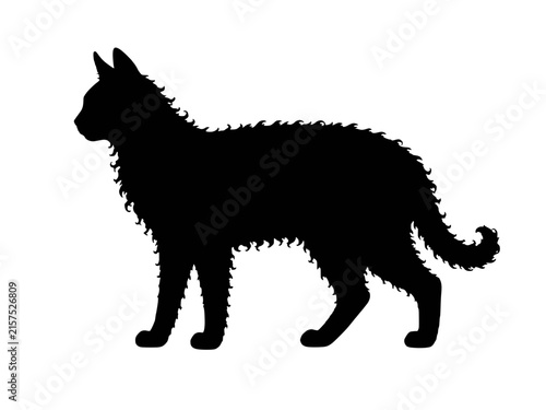 Konstfotografi LaPerm cat silhouette vector icon, medium feline breed with curly coat and curle