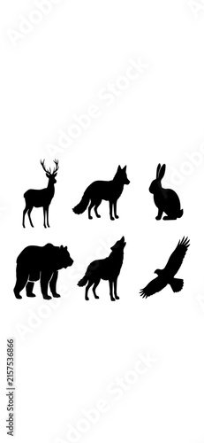 Photography silhouettes of animals