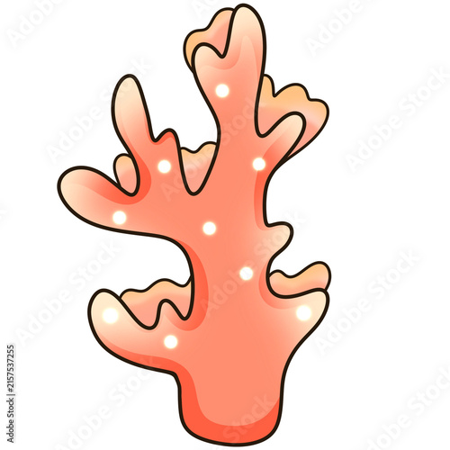 Cute coral cartoon hand drawn minimal pastel orange sea reef graphic for fish tank decor