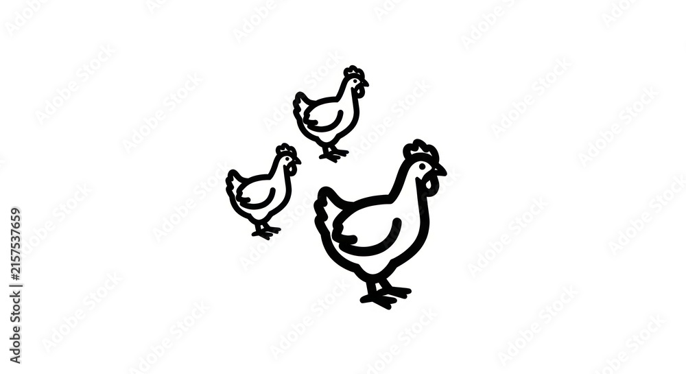 Fototapeta premium Three Chickens Standing Together Outdoors.
