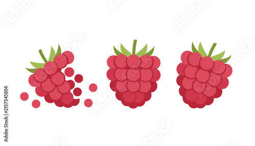 Minimalist vector illustration of three fresh red raspberries showing whole and broken fruit details.
