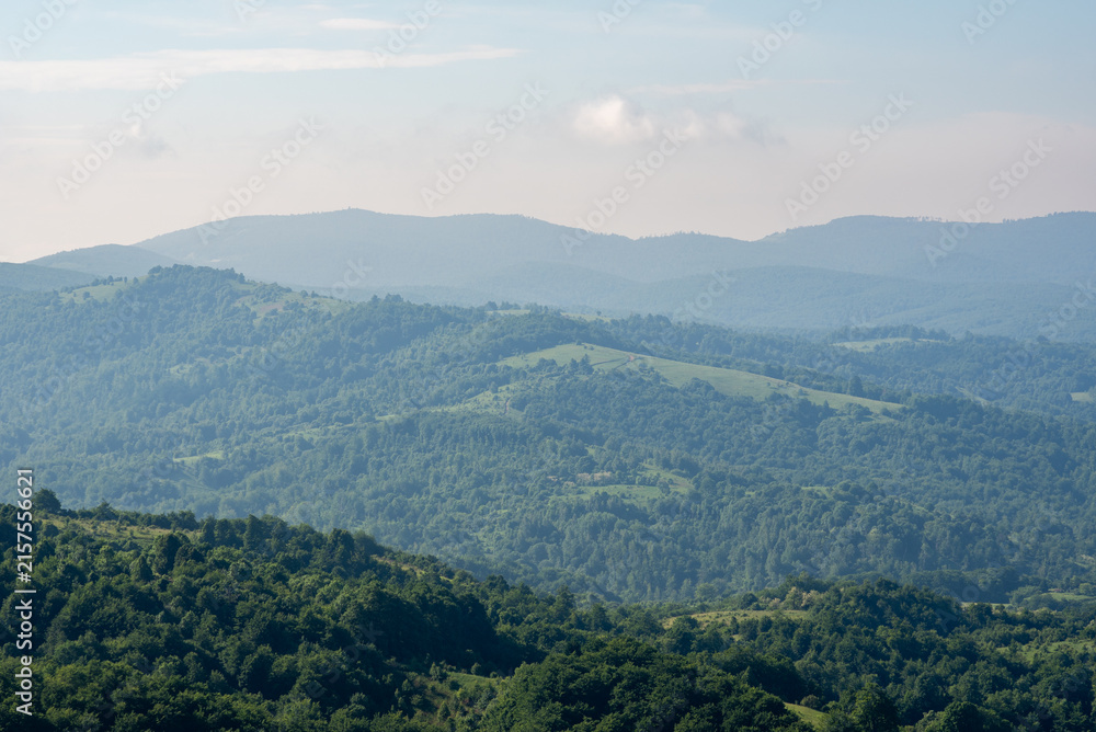 Naklejka premium A panoramic view of a vast mountainous landscape from high elevation, dominated by dense forests and open fields in the foreground