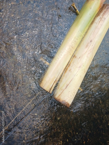 Konstfotografi Banana tree raft for villager play