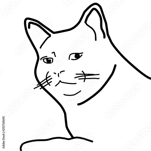 Obraz na plátně sketch of a cat