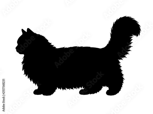 Bild auf Leinwand Minuet Longhair cat silhouette vector icon, small short legged feline breed with