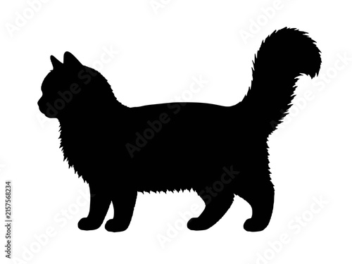 Fotografía Minuet Talls cat silhouette vector icon, small round faced feline breed with nor