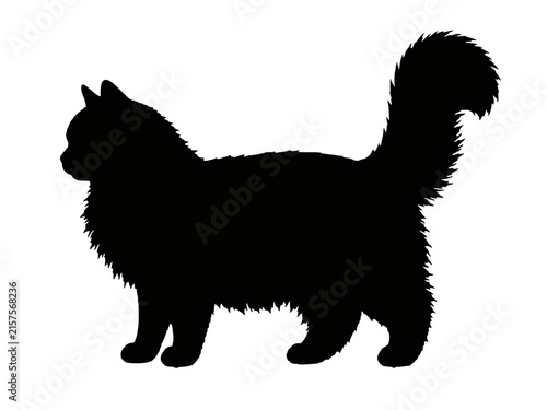фотографія Minuet Talls Longhair cat silhouette vector icon, small round faced long haired