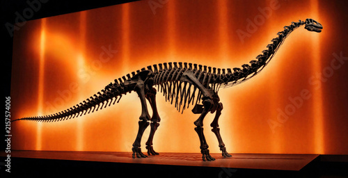 Complete dinosaur skeleton  long neck and tail  displayed against glowing orange wall in museum. Ancient fossil bones represent prehistoric life and natural history.