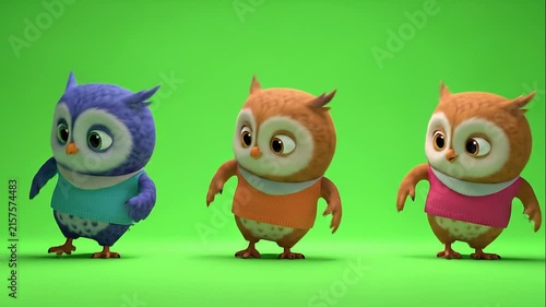 Cute cartoon owls dancing and walking on a green screen