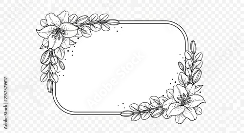 Hand drawn floral frame with lily flowers and leaves for decoration and design