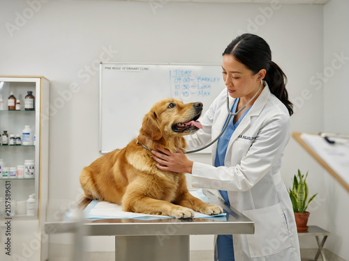 Female veterinarian in a white lab coat using a stethoscope to examine a golden retriever dog on an examination table in a clinic office