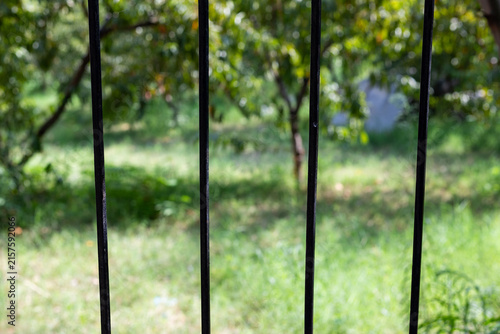 Black Iron Fence Bars With Blurred Green Garden and Natural Bokeh Background