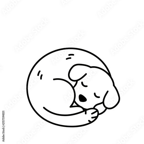 Sleeping dog curled up in a circle