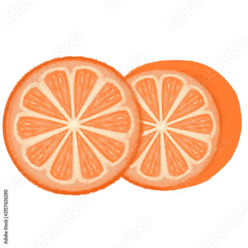 A hand-drawn digital illustration featuring two round, overlapping orange cross-section slices with visible pulp segments, set against a transparent background