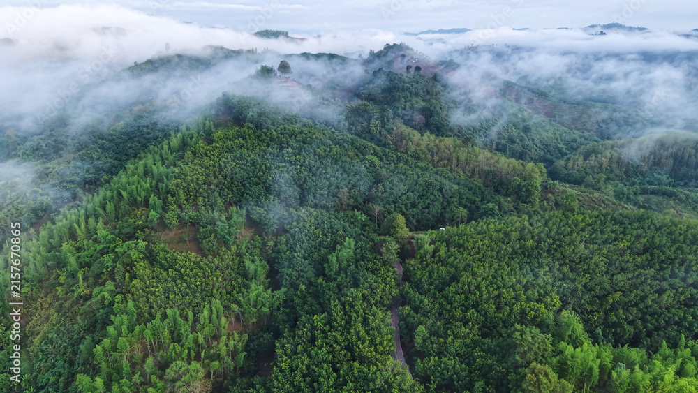 Fototapeta premium Aerial view from drone of the forest and mountain range on cloudy morning