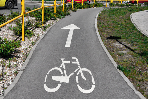 Urban Bike Lane with Painted Direction Arrows
