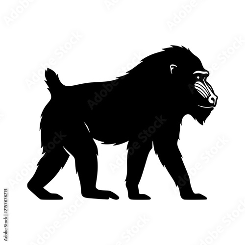 Photography Mandril monkey silhouette standing animal illustration