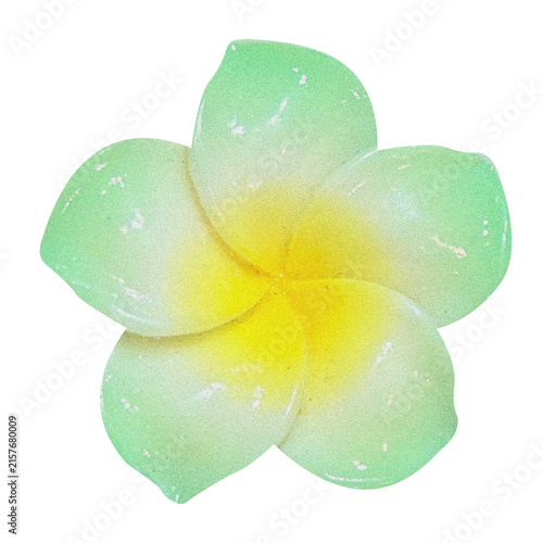 Green and yellow plumeria flower, Tropical frangipani flower PNG, Exotic botanical blossom, Hawaiian tropical flower on transparent background